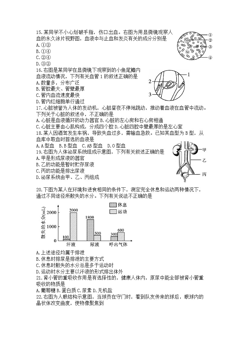 陕西省渭南市合阳县2021-2022学年七年级下学期期末质量检测生物试题(word版含答案)第3页