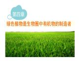 人教版七年级上册《绿色植物是生物圈中有机物的制造者》课件