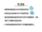 人教版七年级上册《绿色植物是生物圈中有机物的制造者》课件
