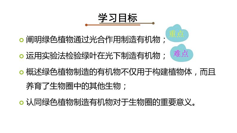 人教版七年级上册《绿色植物是生物圈中有机物的制造者》课件03