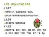 人教版七年级上册《绿色植物是生物圈中有机物的制造者》课件