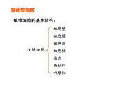 人教版七年级上册2.1.3《动物细胞》课件