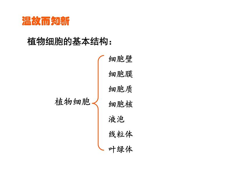 人教版七年级上册2.1.3《动物细胞》课件02