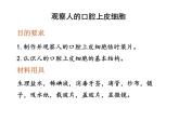 人教版七年级上册2.1.3《动物细胞》课件
