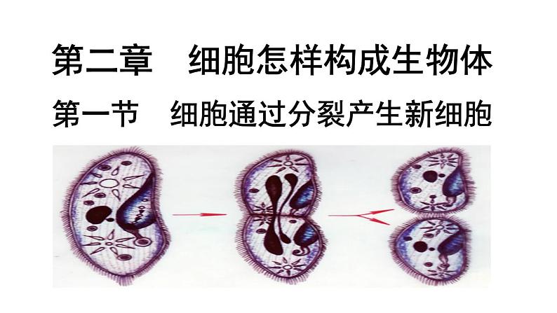 七年级上册课件2.2.1《细胞通过分裂产生新细胞》课件第1页