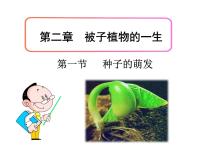 生物七年级上册第一节 种子的萌发教学演示课件ppt