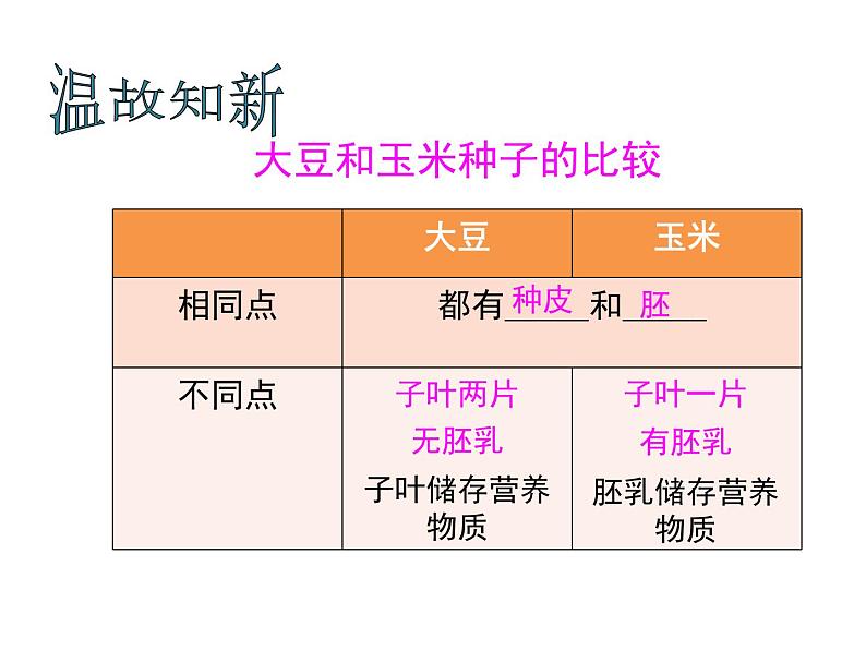 人教版七年级上册3.2.1《种子的萌发》课件04