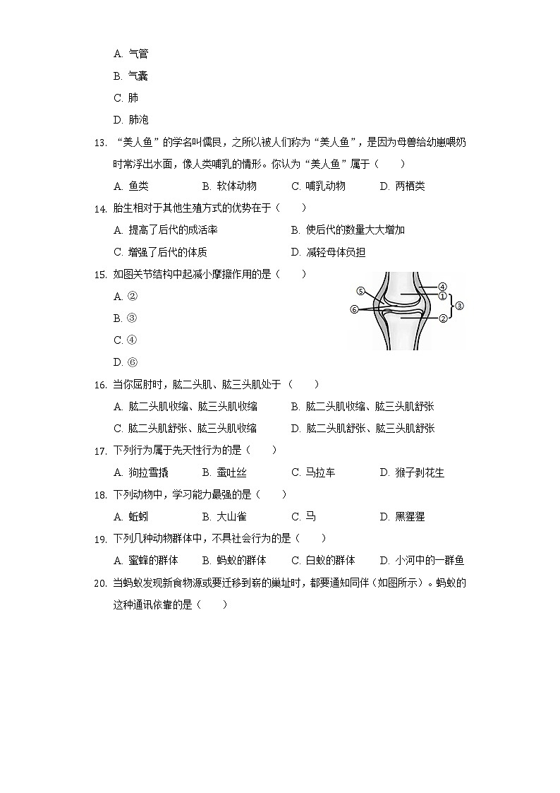 新疆昌吉州行知学2021-2022学年校八年级上学期期末生物试卷(word版含答案)02