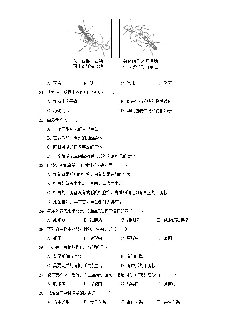 新疆昌吉州行知学2021-2022学年校八年级上学期期末生物试卷(word版含答案)03