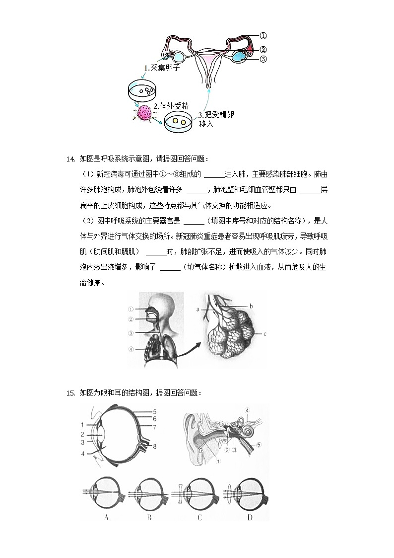 辽宁省沈阳市沈河区2021-2022学年七年级下学期期末生物试卷(word版含答案)03
