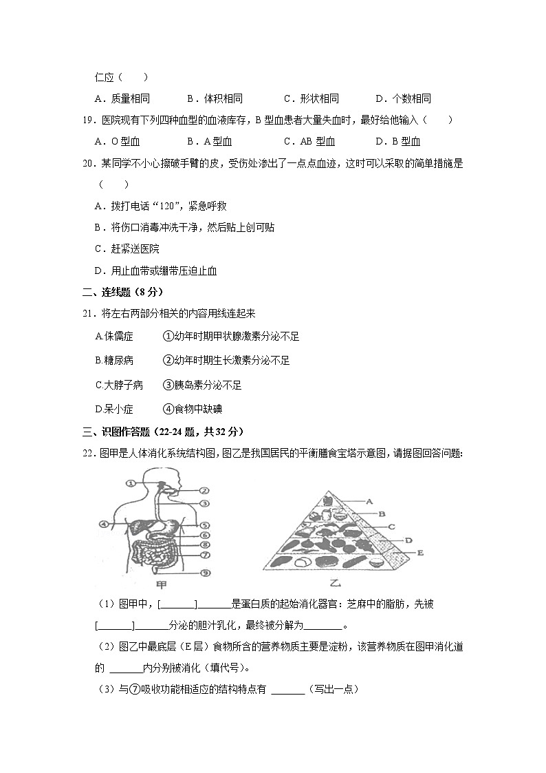 辽宁省本溪市2021—2022学年七年级下学期期末生物试题(word版含答案)03
