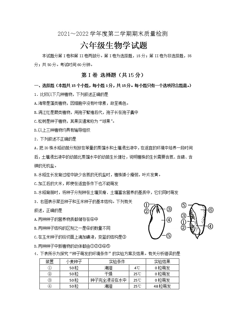山东省泰安市东平县（五四制）2021∽2022学年六年级下学期期末质量检测生物试题(word版含答案)第1页