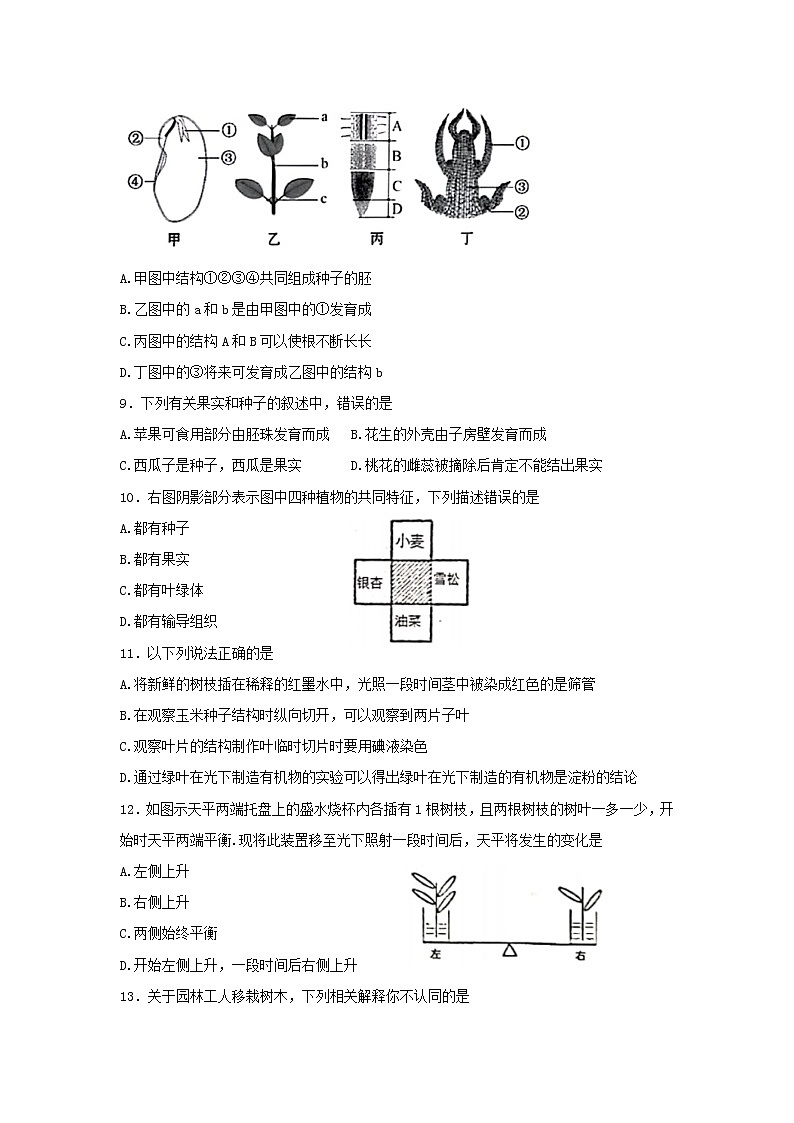山东省泰安市东平县（五四制）2021∽2022学年六年级下学期期末质量检测生物试题(word版含答案)第3页