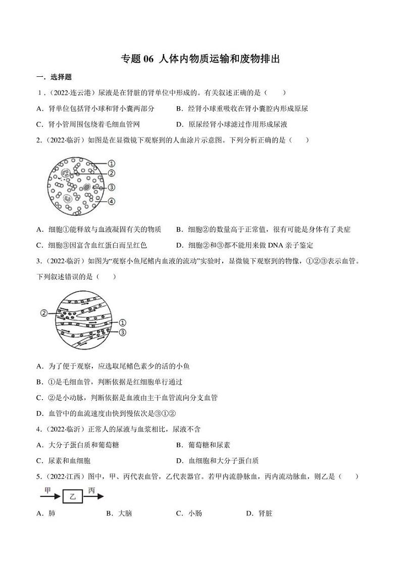 2022年中考生物真题分类汇编 专题06 人体内物质运输和废物排出（学生版+解析版）01