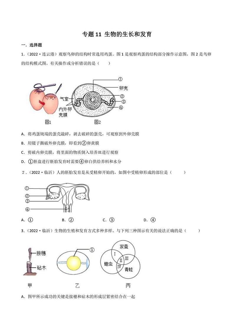 2022年中考生物真题分类汇编 专题11 生物的生殖和发育（学生版+解析版）01