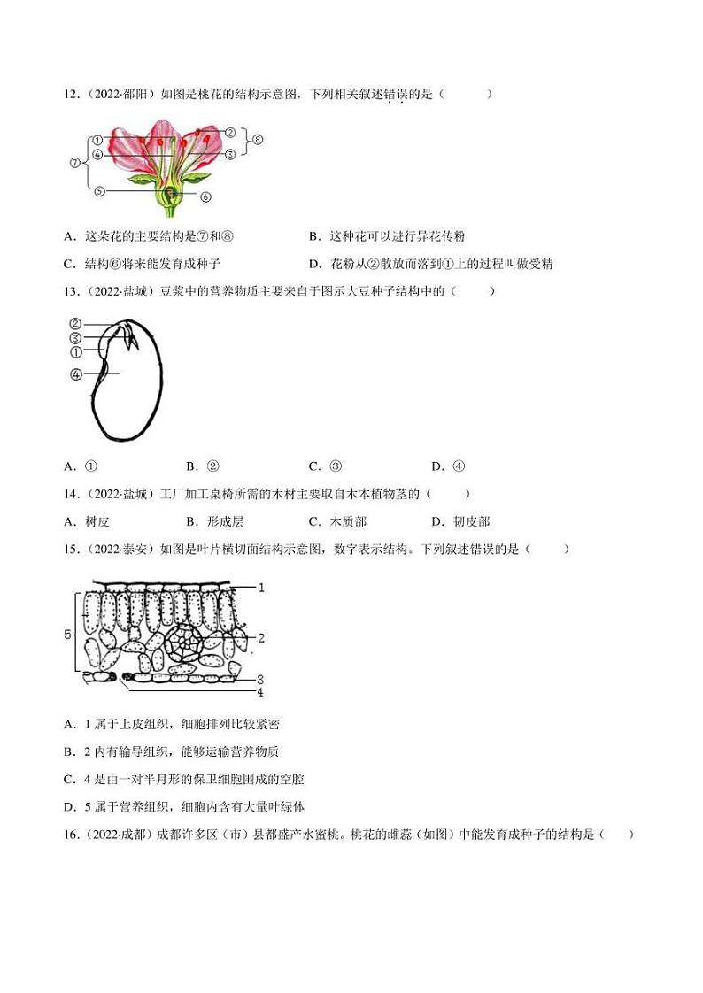2022年中考生物真题分类汇编 专题03 绿色开花植物的一生（学生版+解析版）第3页