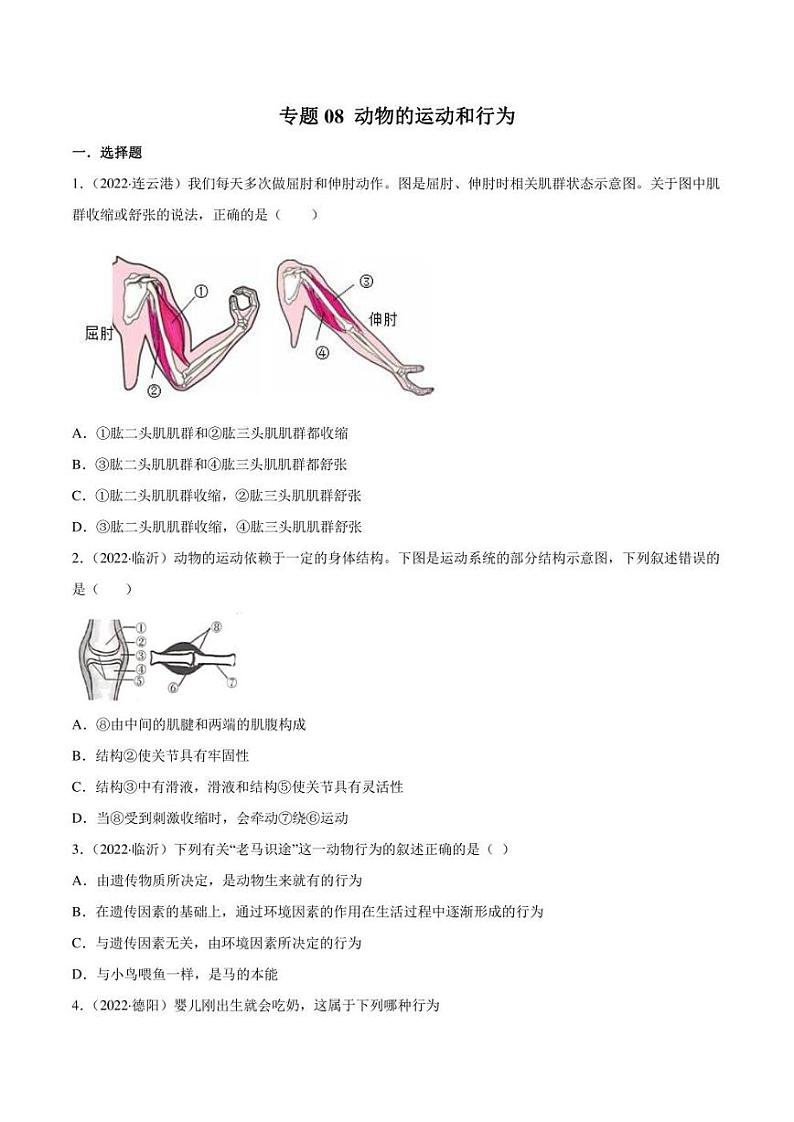 2022年中考生物真题分类汇编 专题08 动物的运动和行为（学生版+解析版）第1页