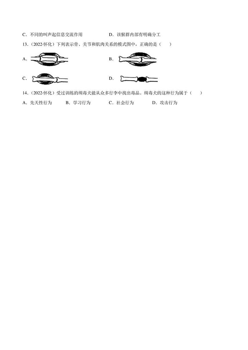 2022年中考生物真题分类汇编 专题08 动物的运动和行为（学生版+解析版）第3页