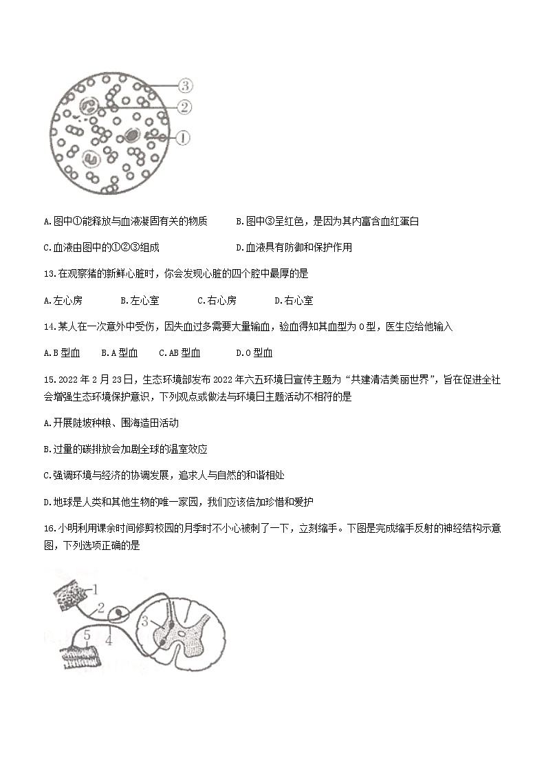 四川省广元市苍溪县2021-2022学年七年级下学期期末生物试题(word版含答案)第3页