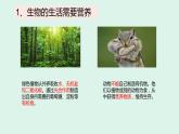 1.1 生物的物征 课件 2022-2023学年人教版生物七年级上册