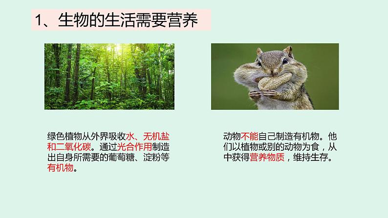 1.1 生物的物征 课件 2022-2023学年人教版生物七年级上册03