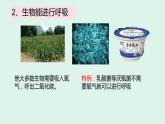 1.1 生物的物征 课件 2022-2023学年人教版生物七年级上册