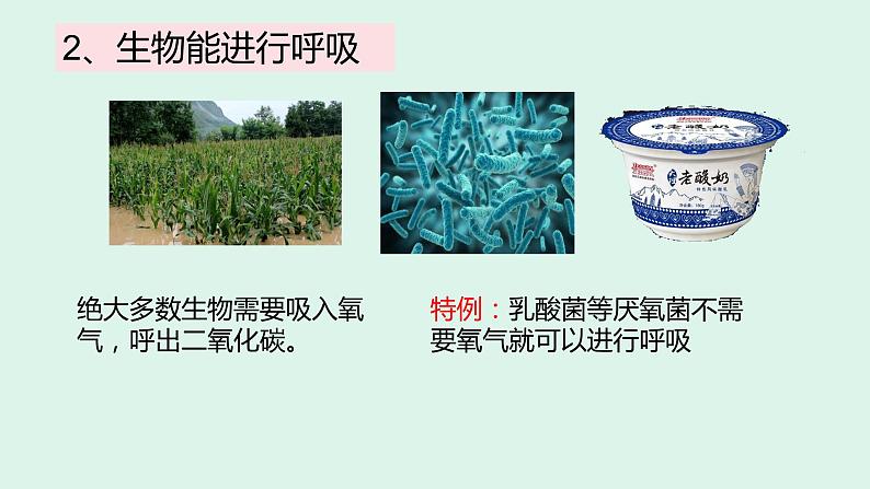 1.1 生物的物征 课件 2022-2023学年人教版生物七年级上册05