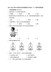 吉林省长春市绿园区2021-2022学年七年级下学期期末生物试卷(word版含答案)