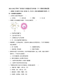 广东省江门市蓬江区2021-2022学年七年级下学期期末生物试卷(word版含答案)