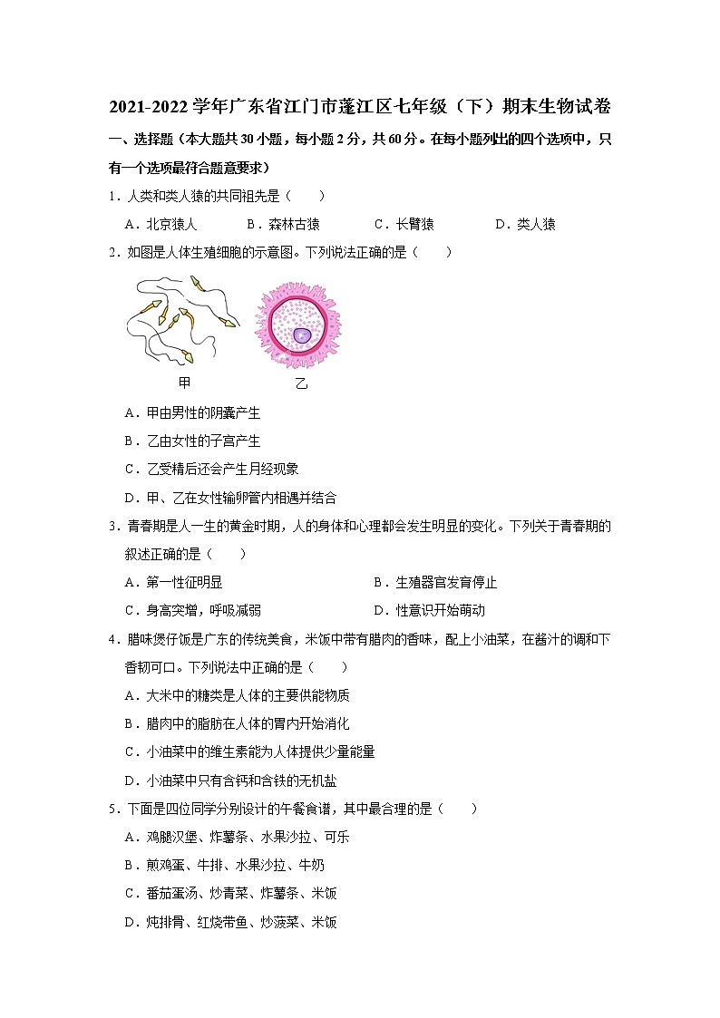 广东省江门市蓬江区2021-2022学年七年级下学期期末生物试卷(word版含答案)01
