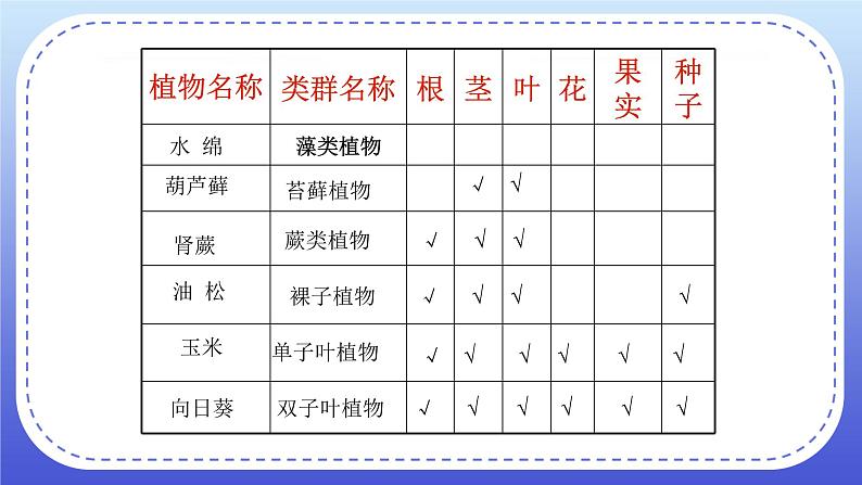 6.1.1《尝试对生物进行分类》课件+教案05