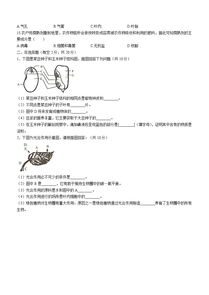 黑龙江省哈尔滨市巴彦县2021-2022学年七年级上学期期末生物试题(word版含答案)第2页