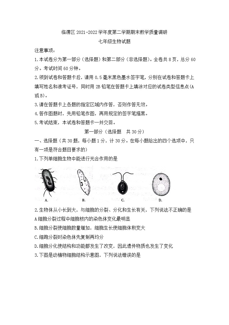 陕西省渭南市临渭区2021-2022学年七年级下学期期末教学质量调研生物试题(word版含答案)第1页