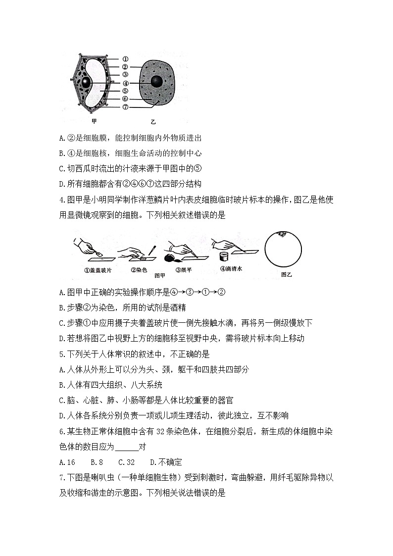 陕西省渭南市临渭区2021-2022学年七年级下学期期末教学质量调研生物试题(word版含答案)第2页