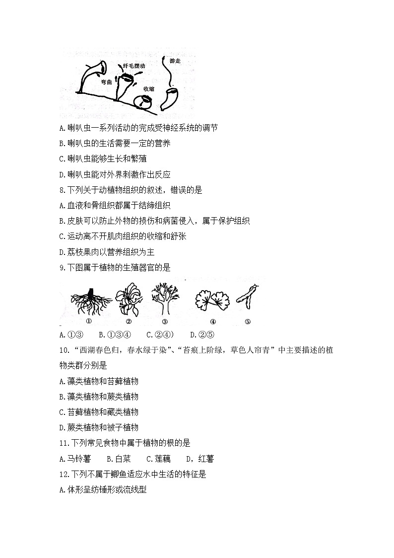 陕西省渭南市临渭区2021-2022学年七年级下学期期末教学质量调研生物试题(word版含答案)第3页