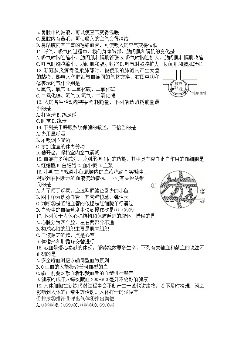 陕西省汉中市留坝县2021-2022学年七年级下学期期末教学质量调研检测卷生物试题(word版含答案)02