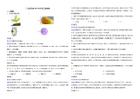 广西百色市2022年中考生物试卷解析版