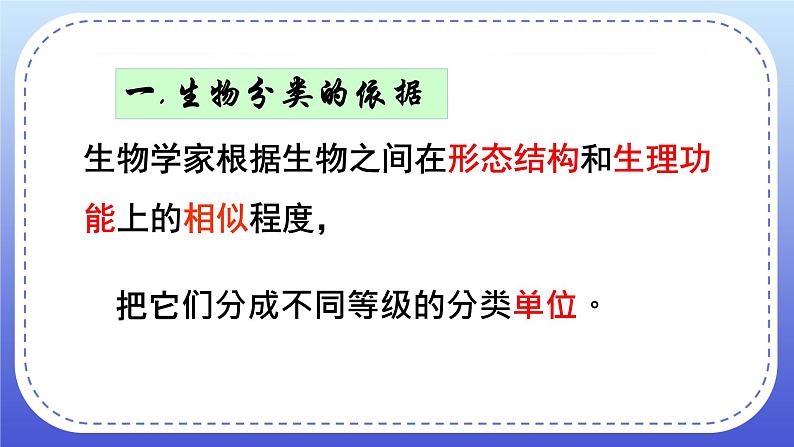 6.1.2《从种到界》课件+教案05