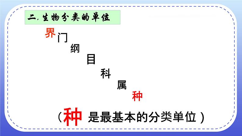 6.1.2《从种到界》课件+教案06