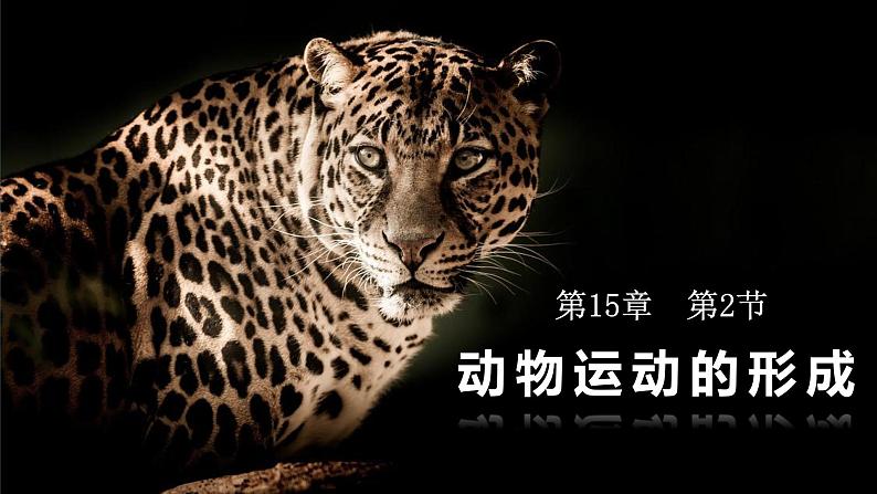 5.15.2动物运动的形成课件01