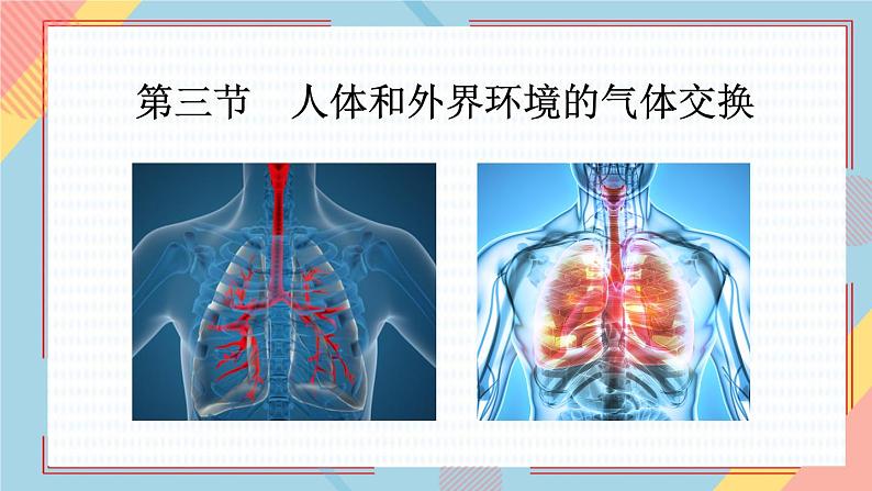 10.3人体和外界环境的气体交换课件第1页