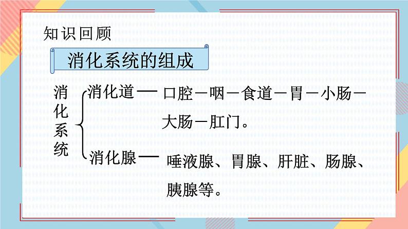 10.3人体和外界环境的气体交换课件第3页