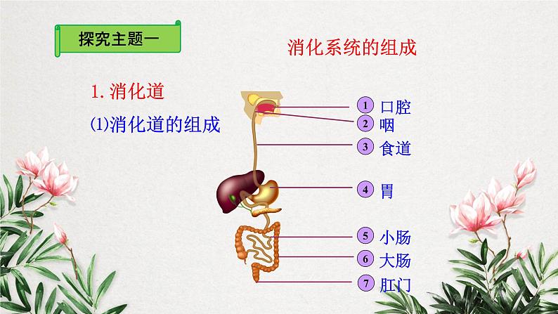 9.2.1 人体的消化和吸收课件（第一课时）第5页