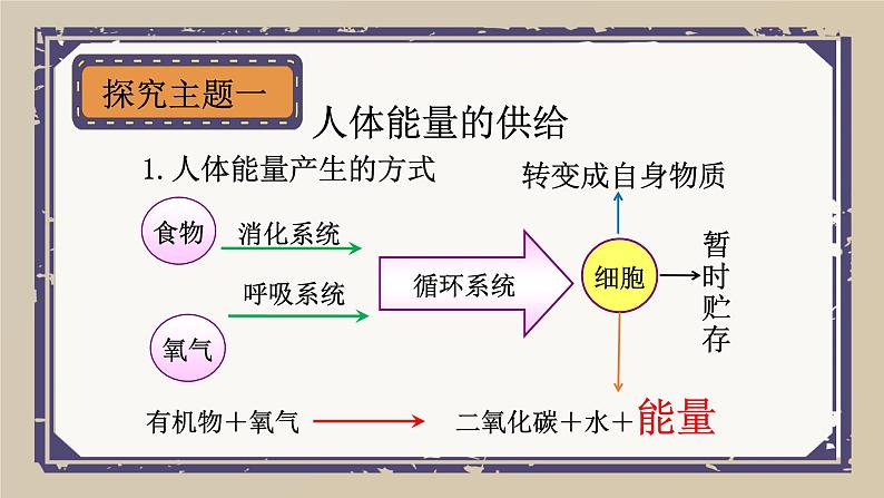 10.5 人体能量的供给课件06