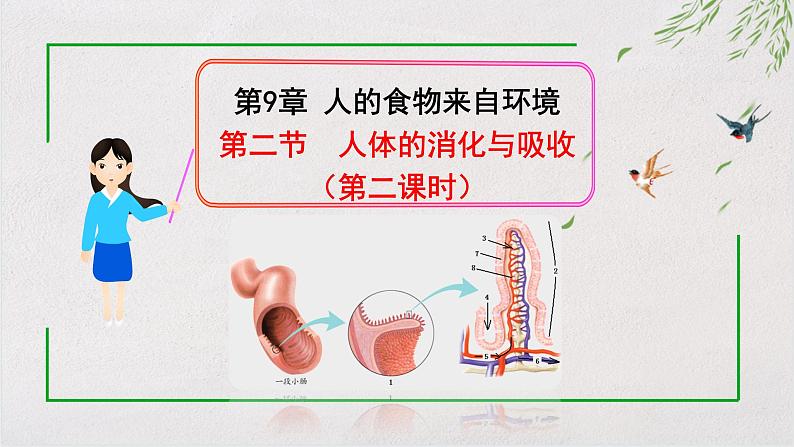 9.2.2 人体的消化和吸收课件（第二课时）第1页