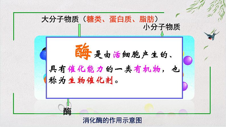 9.2.2 人体的消化和吸收课件（第二课时）第6页