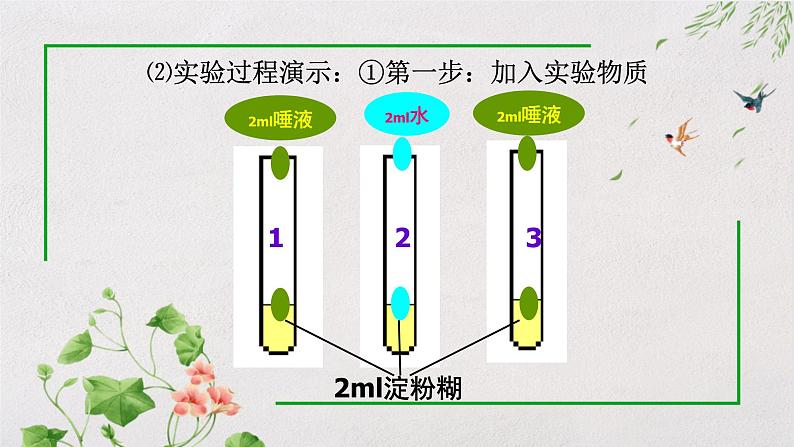 9.2.2 人体的消化和吸收课件（第二课时）第8页