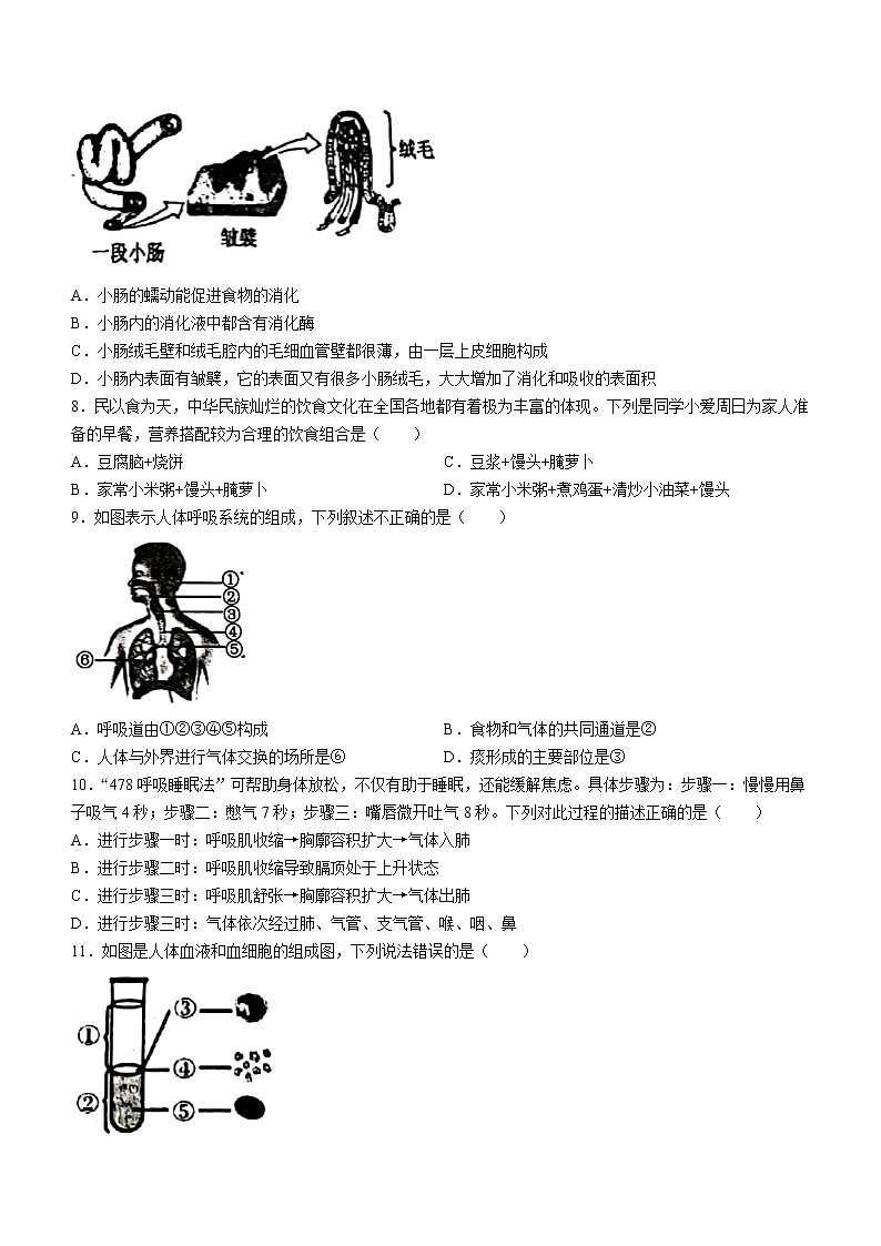 内蒙古巴彦淖尔市乌拉特前旗2021-2022学年七年级下学期期末生物试题(word版含答案)第2页