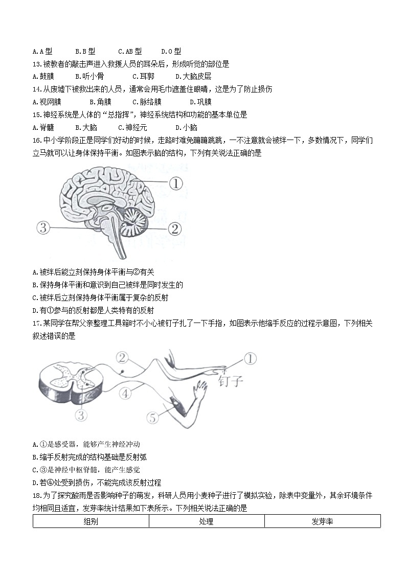 山西省大同市2021-2022学年七年级下学期期末生物试题(word版含答案)03