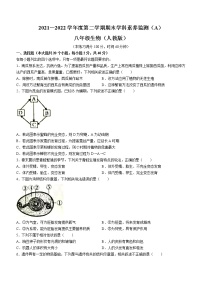 山西省朔州市右玉县2021-2022学年八年级下学期期末生物试题(word版含答案)